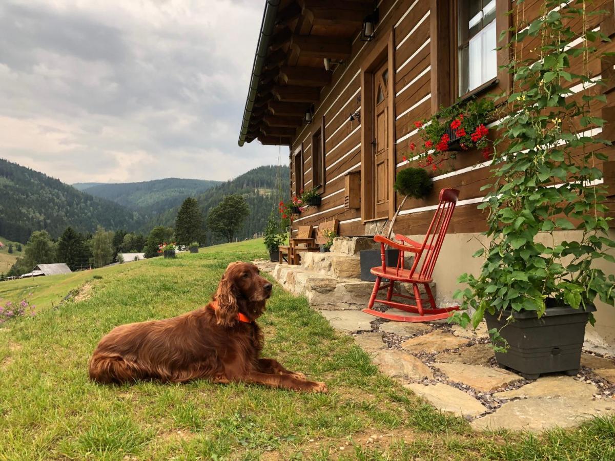 U Setra Appartement Pec pod Sněžkou